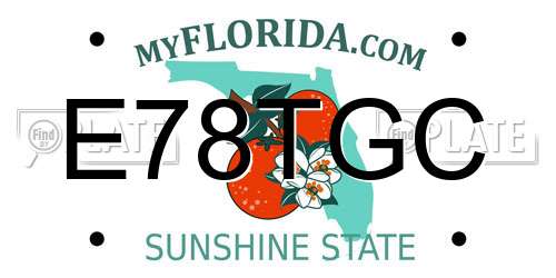 E78TGC Florida License Plate
