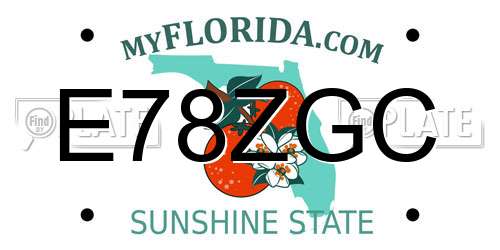 E78ZGC Florida License Plate