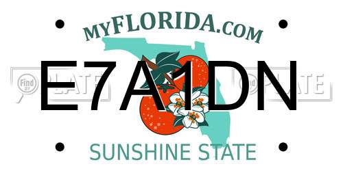 E7A1DN Florida License Plate