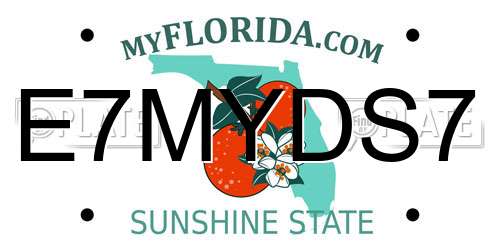 E7MYDS7 Florida License Plate