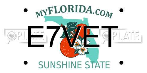 E7VET Florida License Plate