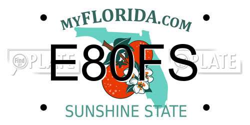 E80FS Florida License Plate