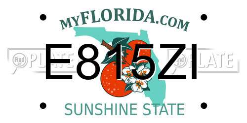 E815ZI Florida License Plate