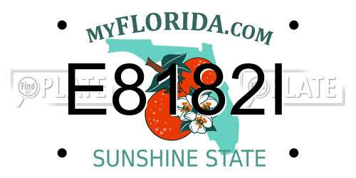 E8182I Florida License Plate