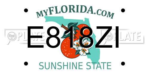 E818ZI Florida License Plate