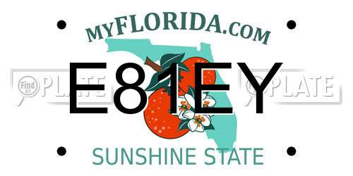 E81EY Florida License Plate