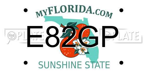 E82GP Florida License Plate