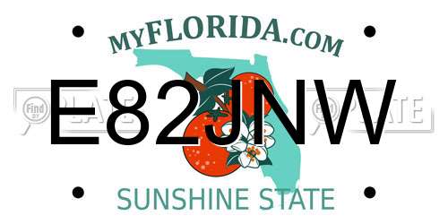 E82JNW Florida License Plate