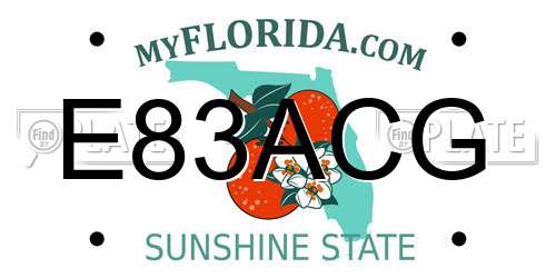 E83ACG Florida License Plate