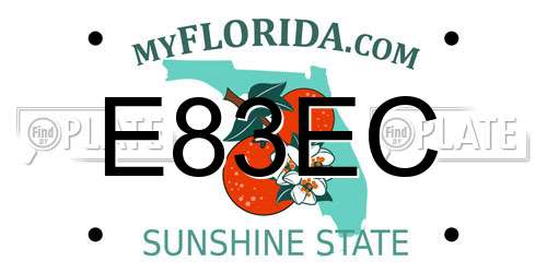 E83EC Florida License Plate