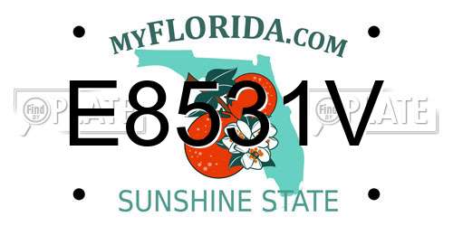 E8531V Florida License Plate
