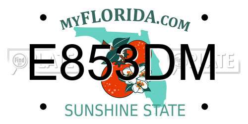 E853DM Florida License Plate