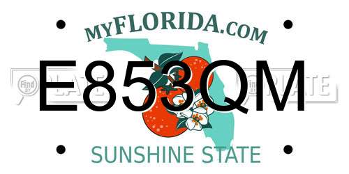 E853QM Florida License Plate