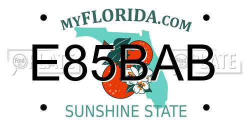 E85BAB Florida License Plate