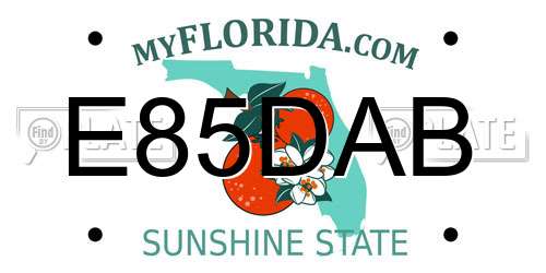 E85DAB Florida License Plate