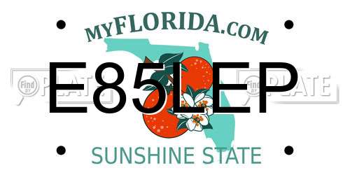 E85LEP Florida License Plate