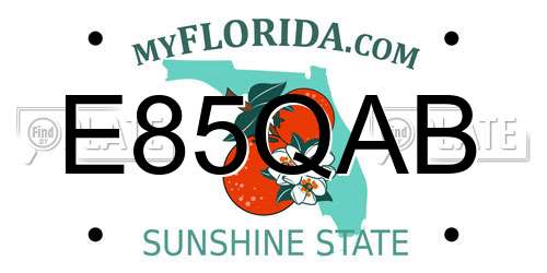 E85QAB Florida License Plate