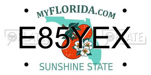 E85YEX Florida License Plate