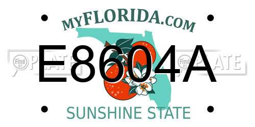 E8604A Florida License Plate