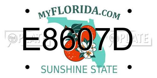 E8607D Florida License Plate