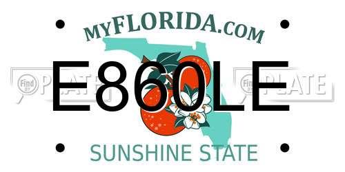 E860LE Florida License Plate