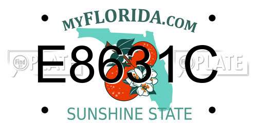 E8631C Florida License Plate