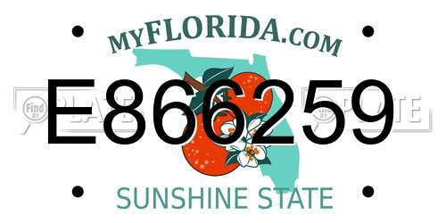 E866259 Florida License Plate