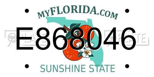 E868046 Florida License Plate