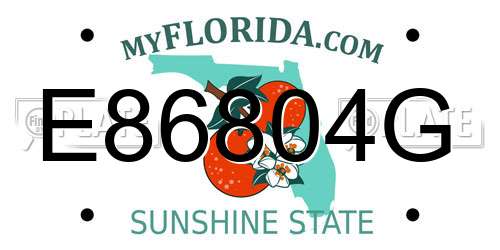 E86804G Florida License Plate