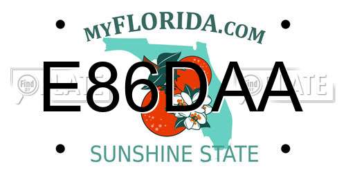 E86DAA Florida License Plate