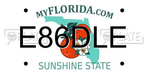 E86DLE Florida License Plate