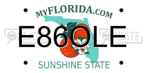 E86OLE Florida License Plate