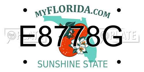 E8778G Florida License Plate
