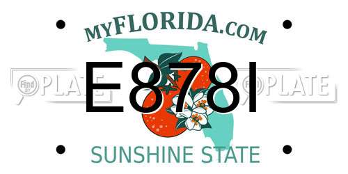 E878I Florida License Plate