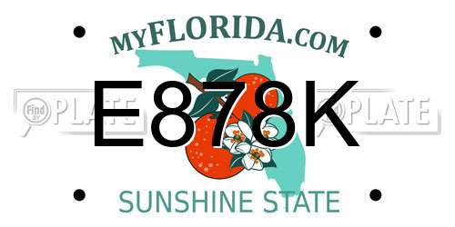 E878K Florida License Plate