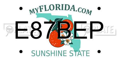 E87BEP Florida License Plate