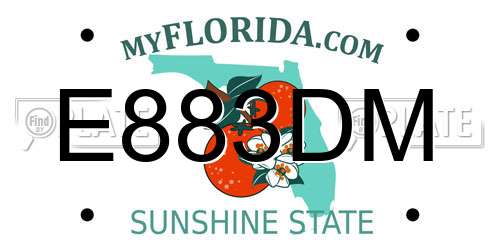 E883DM Florida License Plate