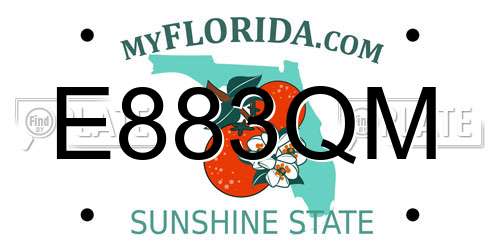 E883QM Florida License Plate
