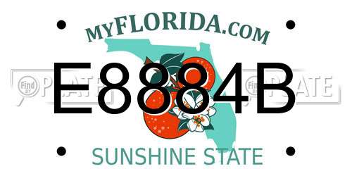 E8884B Florida License Plate