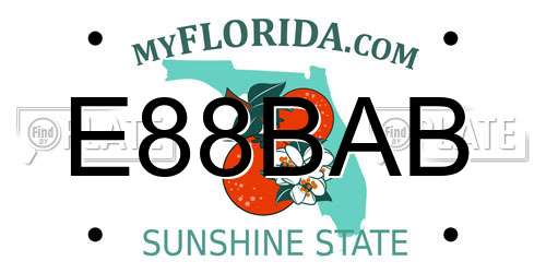 E88BAB Florida License Plate