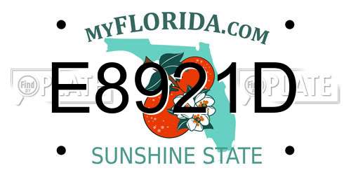 E8921D Florida License Plate