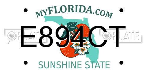 E894CT Florida License Plate