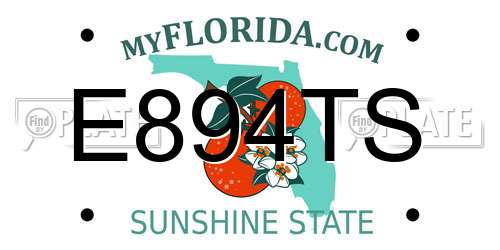 E894TS Florida License Plate