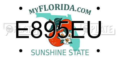E895EU Florida License Plate