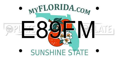 E89FM Florida License Plate
