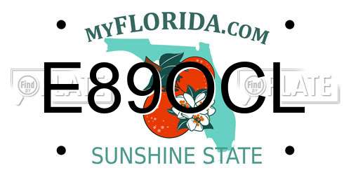 E89OCL Florida License Plate