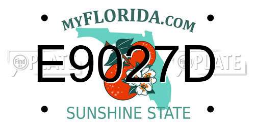 E9027D Florida License Plate