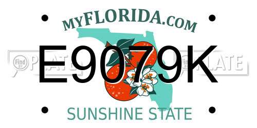 E9079K Florida License Plate