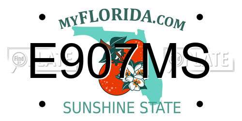 E907MS Florida License Plate