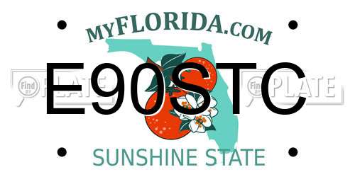 E90STC Florida License Plate